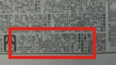 籌備公告刊登 籌備公告刊登